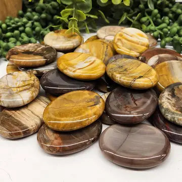 Petrified Wood Worry Stone