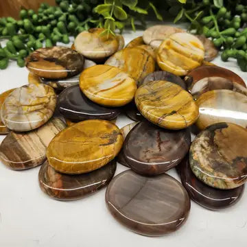 Petrified Wood Worry Stone