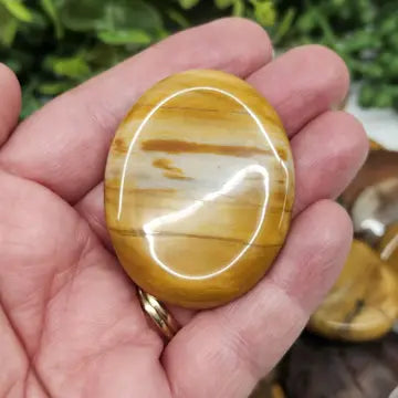 Petrified Wood Worry Stone