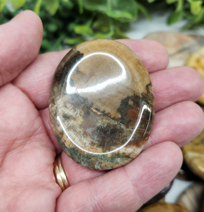 Petrified Wood Worry Stone